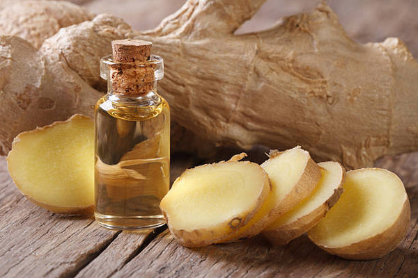 Ginger Root Oil