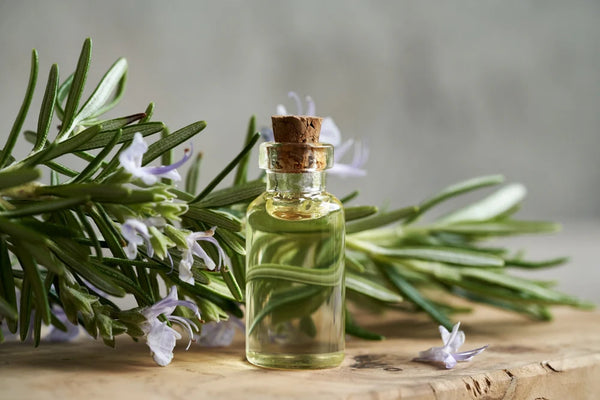 Rosemary Leaf Oil